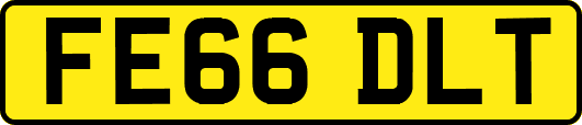 FE66DLT