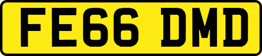 FE66DMD