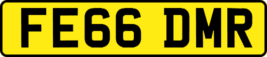 FE66DMR