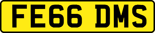 FE66DMS