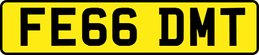 FE66DMT