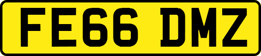 FE66DMZ