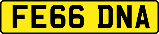 FE66DNA