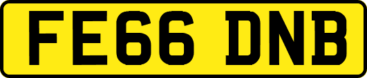 FE66DNB