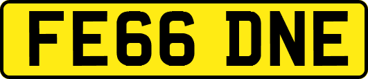 FE66DNE