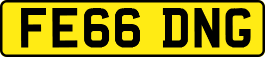 FE66DNG