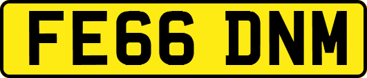 FE66DNM
