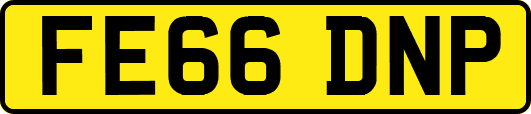 FE66DNP
