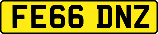 FE66DNZ