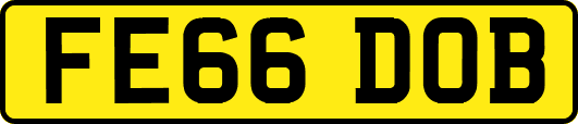 FE66DOB