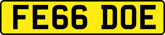 FE66DOE