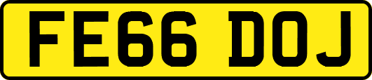 FE66DOJ