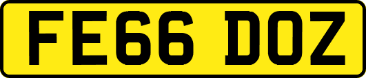 FE66DOZ