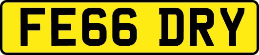 FE66DRY