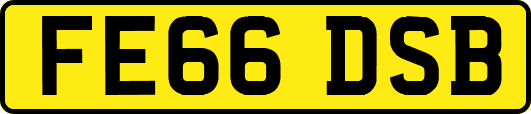 FE66DSB