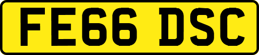 FE66DSC