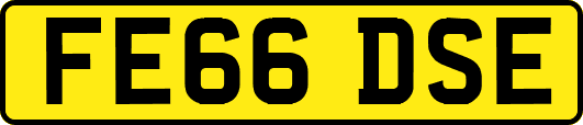 FE66DSE
