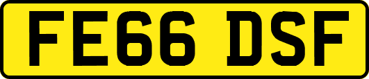 FE66DSF