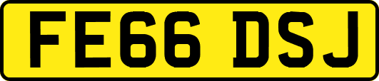 FE66DSJ