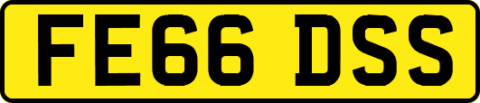 FE66DSS