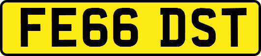 FE66DST