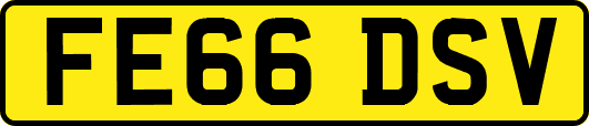 FE66DSV