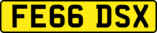 FE66DSX