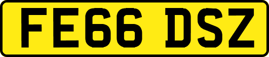 FE66DSZ