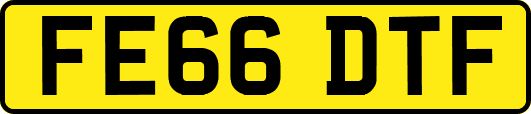 FE66DTF