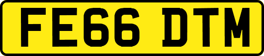 FE66DTM