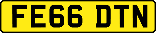 FE66DTN