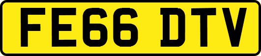 FE66DTV