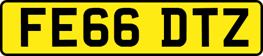 FE66DTZ
