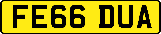 FE66DUA