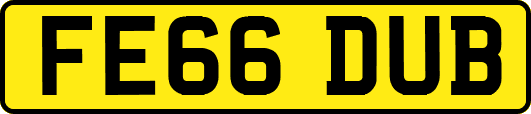 FE66DUB
