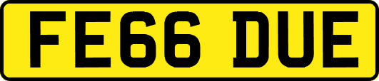 FE66DUE
