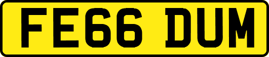 FE66DUM