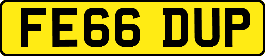 FE66DUP
