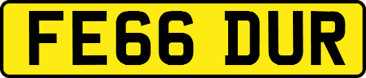 FE66DUR