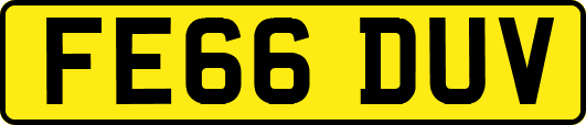 FE66DUV