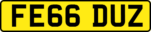 FE66DUZ