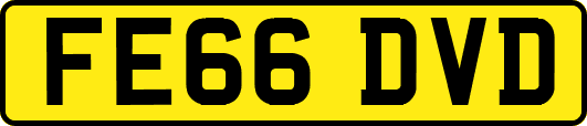 FE66DVD