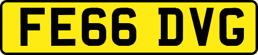 FE66DVG