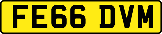 FE66DVM