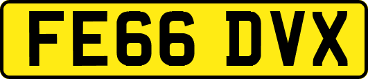 FE66DVX