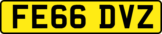 FE66DVZ
