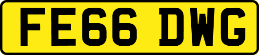 FE66DWG