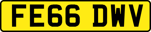 FE66DWV