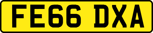 FE66DXA