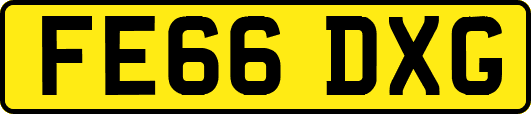 FE66DXG
